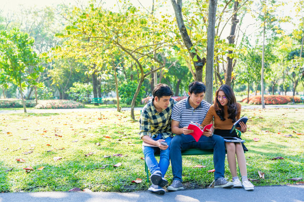 青少年以自然公园为背景，以效果过滤为教育理念进行头脑风暴和讨论。图片下载