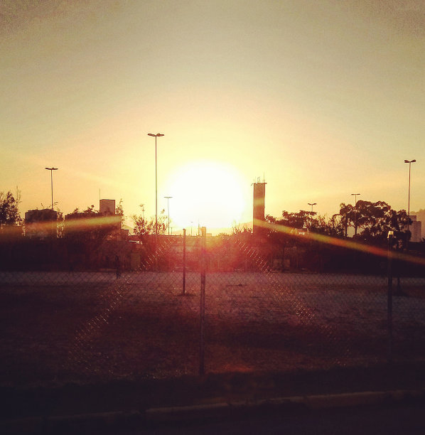 Sunset in the public park图片下载