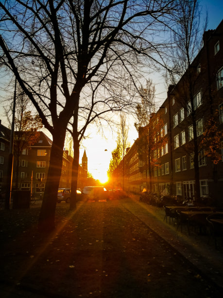 阿姆斯特丹的日出图片下载