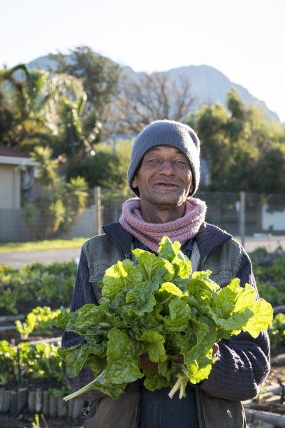 骄傲的农场工人采摘新鲜的蔬菜图片下载