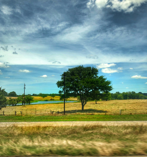 一个池塘坐落在德克萨斯农场的中央图片下载