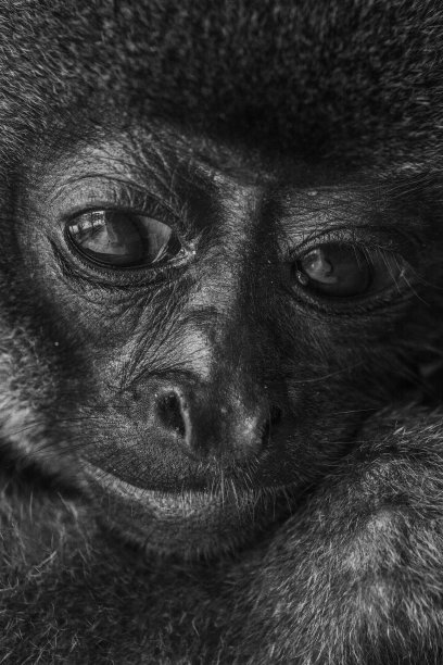 拉戈特里查图片下载