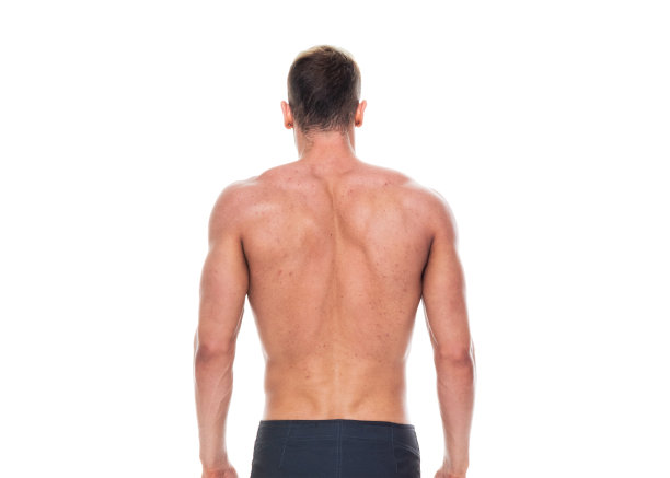 英俊的男性健美运动员站在白色的背景图片下载