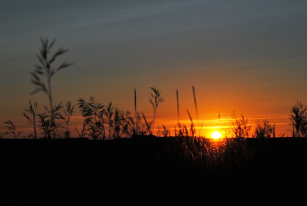 草原风景上的日落图片下载