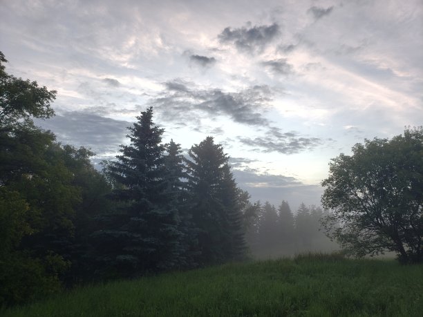 暴风雨后的晨雾图片下载