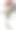 来自侏罗纪时代的3D插图图片下载