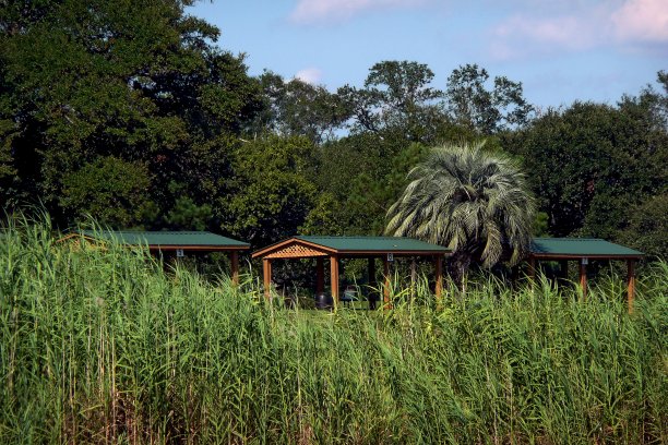 海景区的公园图片下载