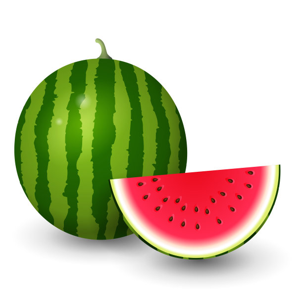 西瓜矢量插图孤立在白色背景上图片下载