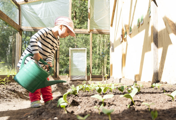 一个孩子，一个女孩在蔬菜温室里用绿色喷壶浇芽。教孩子管道。图片下载