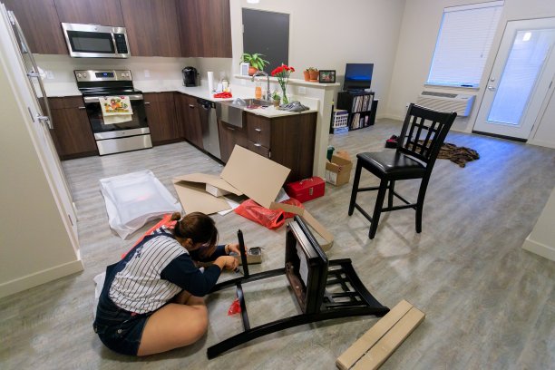 萨尔瓦多年轻女子在她的新公寓里建造家具图片下载