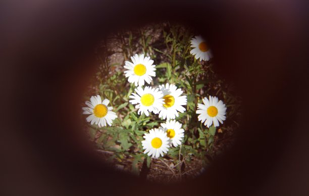 盆腔检查图片下载