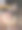 狗在甲板上图片下载