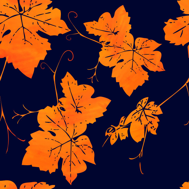 葡萄叶无缝花纹。图片下载