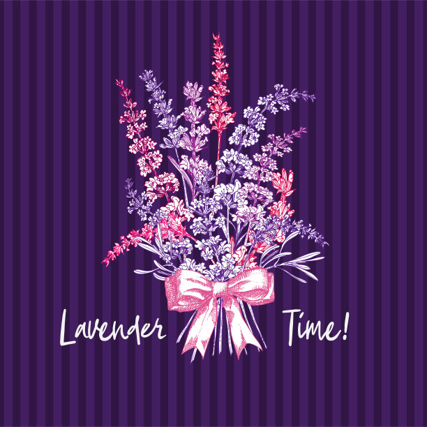 手绘的薰衣草花束和可爱的蝴蝶结孤立在紫罗兰背景上。法国普罗旺斯复古图案为浪漫清新的设计理念。天然薰衣草图片下载