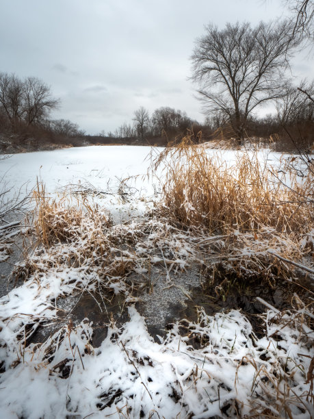 这是一张美丽的冬季风景照片，在威斯康辛州的农村，冰雪覆盖的池塘、枯死的植被和光秃秃的树木与多云的天空相结合。图片下载