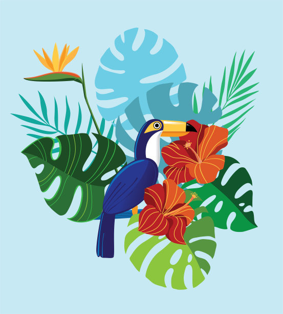 热带的花、叶和巨嘴鸟图片下载