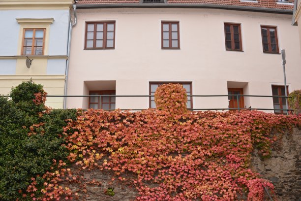 城里房子的侧面照片;期,维也纳,奥地利图片下载