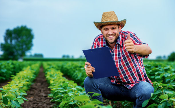 一个农民在大豆地里。农业的概念图片下载