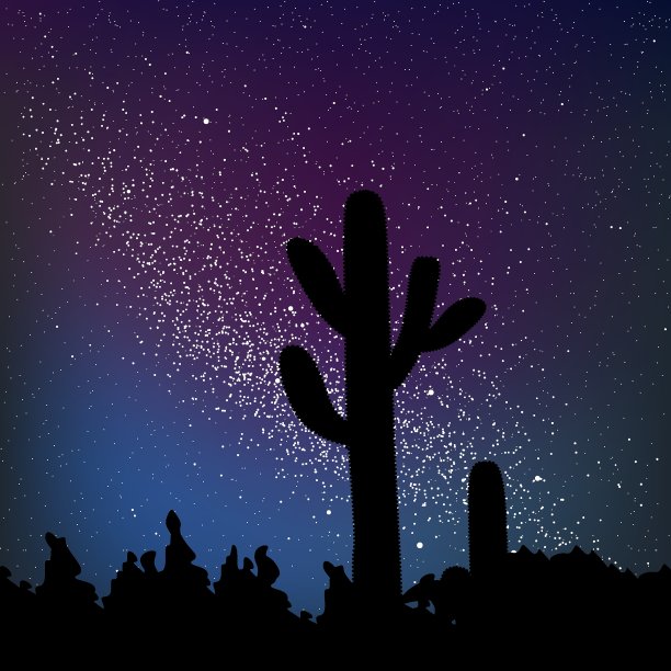 甜点星空和仙人掌。图片下载