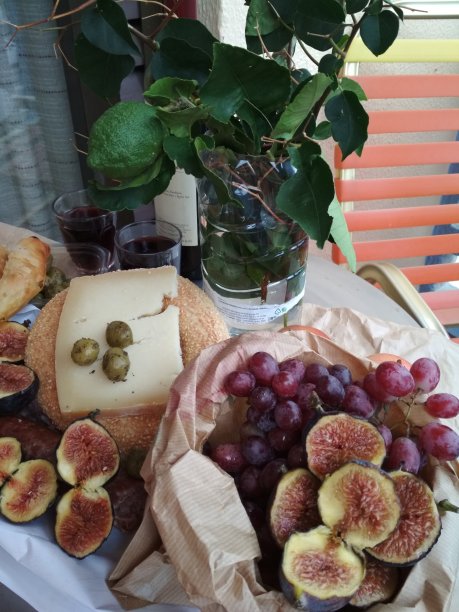 无花果、奶酪和葡萄酒图片下载