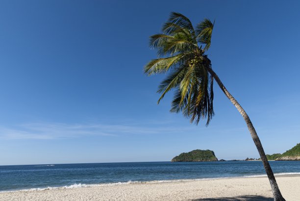 有椰子树的热带加勒比海滩图片下载