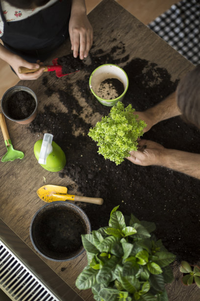 植物保健图片下载
