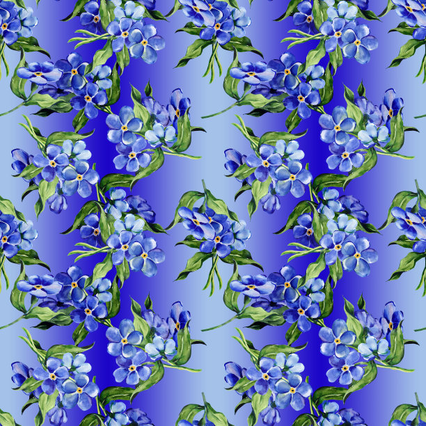 勿忘我花无缝图案。图片下载