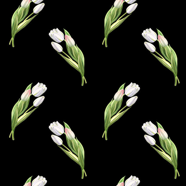 美丽的白色郁金香无缝图案在黑色的背景。花收集。标记图。水彩画。墙纸。图片下载