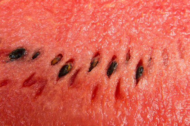 西瓜纹理表面背景。有籽的红色西瓜图片下载