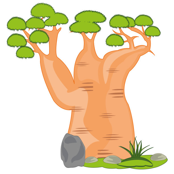 矢量插图澳大利亚异国情调的瓶装树。利用白图片下载