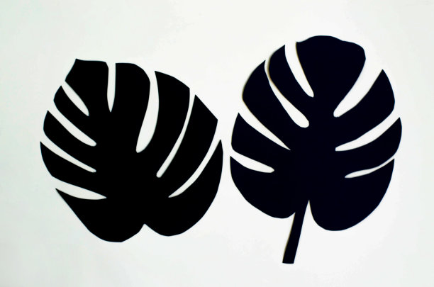 背景由热带树叶纸上的灯光背景。图片下载