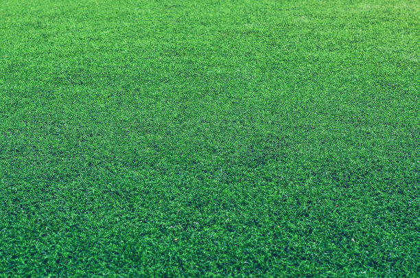 覆盖运动场的绿色人造草。模仿自然背景图片下载