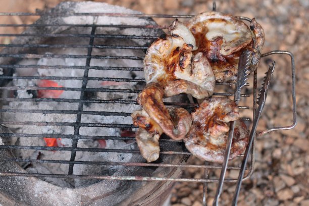 把猪肉放在炭炉里烤。图片下载