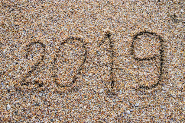 海上的贝壳图片下载