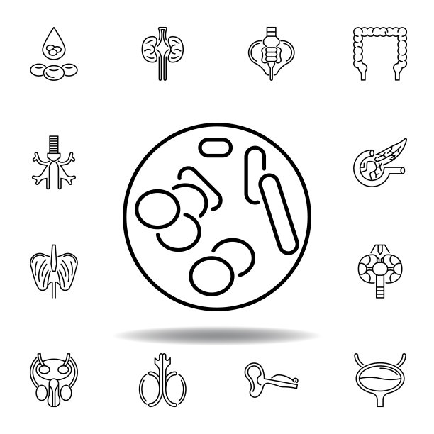 一套人体器官染色体轮廓图标。符号和符号可以用于网页，标志，手机应用程序，UI，用户体验图片下载