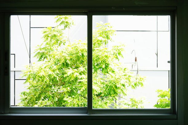 Wndow视图花园图片下载