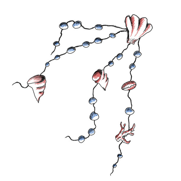 夏天海上涂鸦可爱的贝壳珠子在白色的背景素材图片