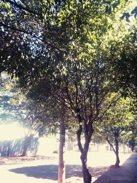 只是一个安静的地方图片下载