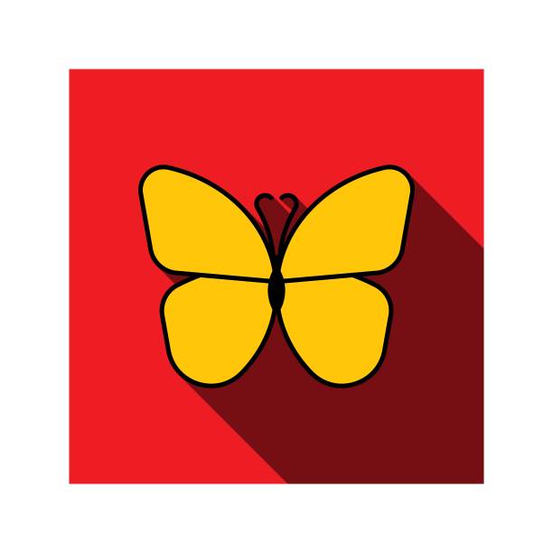 黄色蝴蝶图标与长阴影在红色方块上的白色背景。平面矢量插图易于编辑和自定义。eps10图片下载