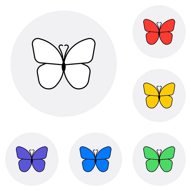 一组简单的蝴蝶图标在白色的背景。平面矢量插图易于编辑和自定义。eps10图片下载