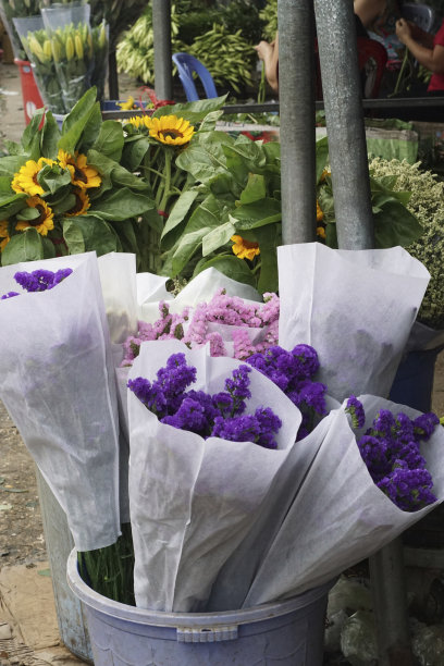 越南河内的鲜花市场图片下载