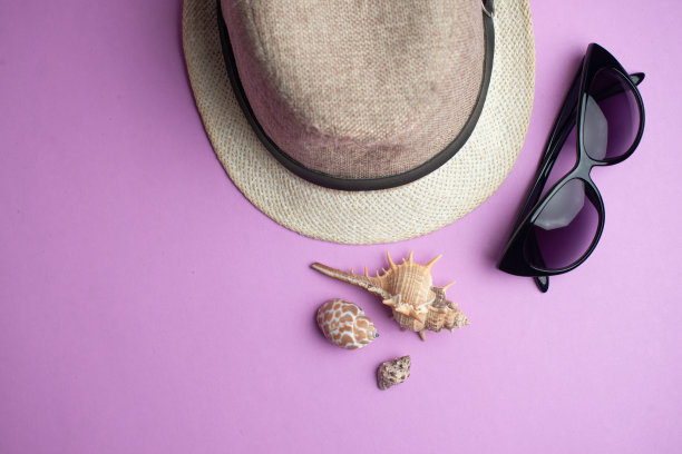 粉色背景的夏日饰品，贝壳，帽子和太阳镜。暑假和海的概念。图片下载