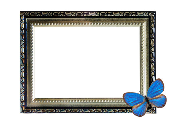框架与蝴蝶孤立在白色图片下载