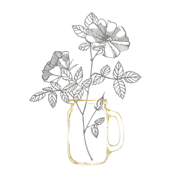 野生玫瑰花卉素描插图。装饰花套织物，纺织品，包装纸，卡片，邀请，墙纸，网页设计。图片下载