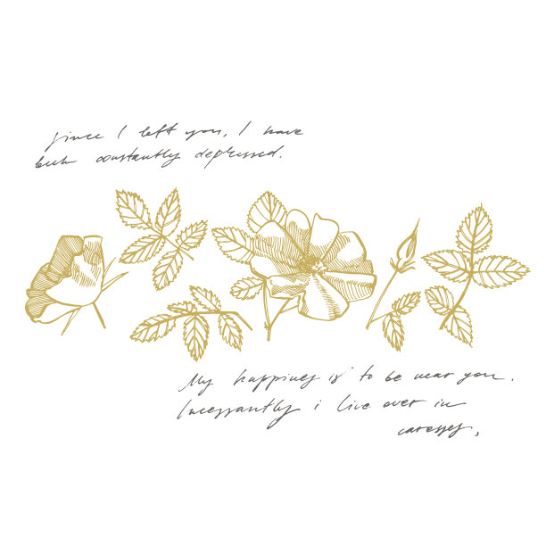 野生玫瑰花卉素描插图。装饰花套织物，纺织品，包装纸，卡片，邀请，墙纸，网页设计。手写的抽象的文字。图片下载