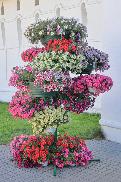 架子上的花盆组成图片下载