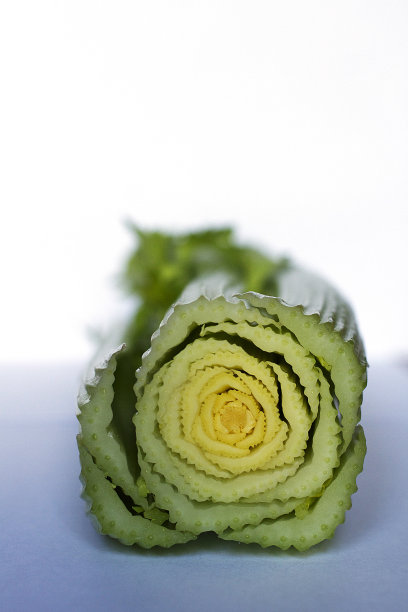 芹菜图片下载