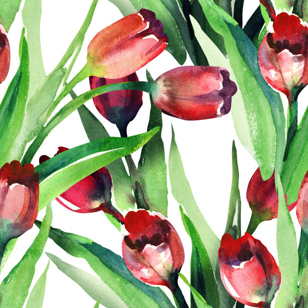 红色郁金香无缝图案。图片下载