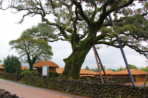 城市民俗村、韩屋、古典、城墙、图片下载