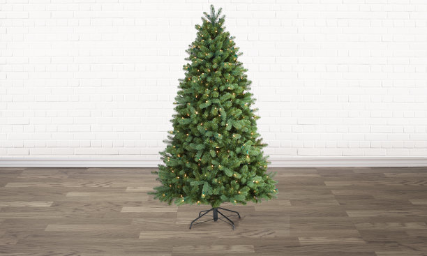 空荡荡的房间里的圣诞树图片下载